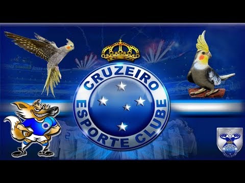 ASSOBIO CALOPSITA - HINO DO CRUZEIRO