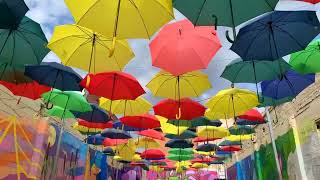 Willkommen in Houston und seinem grünen Umland!