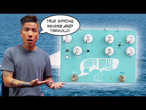 Crazy Tube Circuits White Whale V2 Reverb & Tremolo Pedal image 2