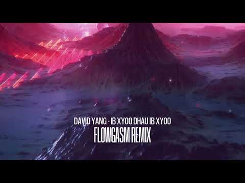 David Yang - Ib Xyoo Dhau Ib Xyoo (FlowGasm Remix)