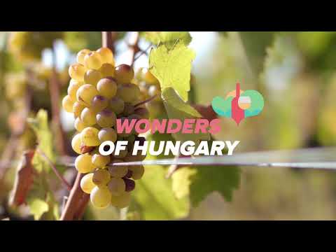 Wonders of Hungary: Tokaj