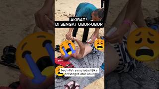 Download lagu BEWARE OF THE DANGER OF JELLYFISH STINGS #jellyfish #venomousanimals mp3 Download lagu BEWARE OF THE DANGER OF JELLYFISH STINGS #jellyfish #venomousanimals mp3