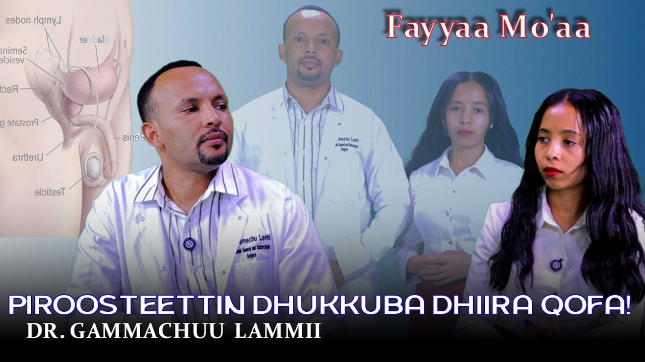 Piroosteetiin dhukkuba dhiira qofa ! Dr. Gammachuu Lammii - Fayyaa Mo'aa