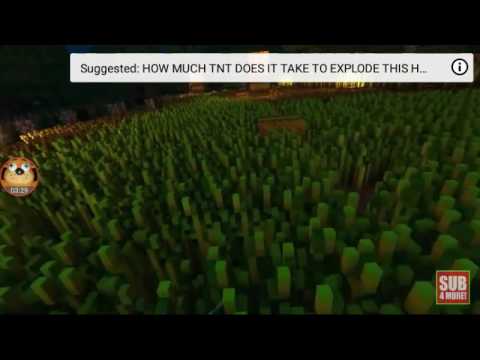 Never stop farming/Gold Minecraft Music Vídeo