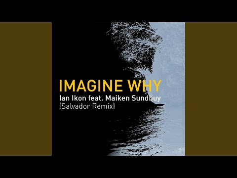 Imagine Why (Salvador Remix)