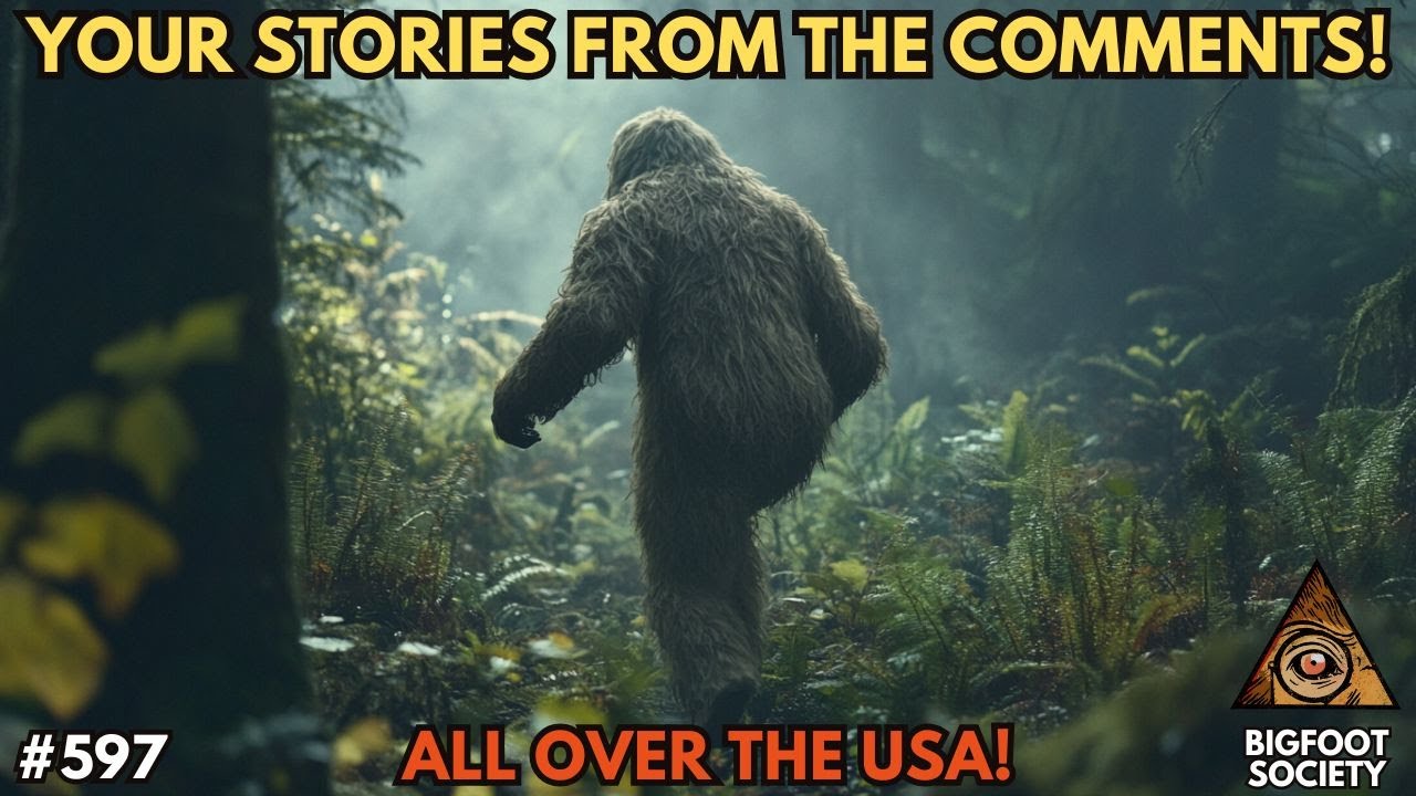 Listener Bigfoot Encounters from the Comments!