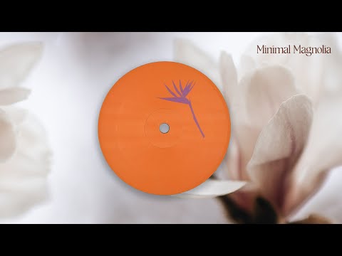 Bisharat – Perspective (Doubtingthomas Remix) [PRP003]