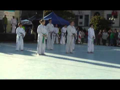 Exhibice - Taekwon-Do ITF Pardubice