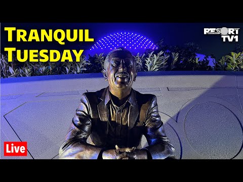 🔴Live: The First Tranquil Tuesday of 2024 at Epcot - Walt Disney World Live Stream