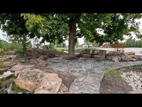 Planting Fire Light Hydrangeas + Cutting Some for an Arrangement! 🌿🍂✂️