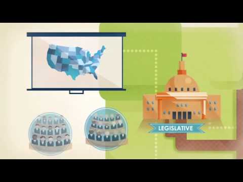 FLVS Civics: Foundations - The Branches of Government