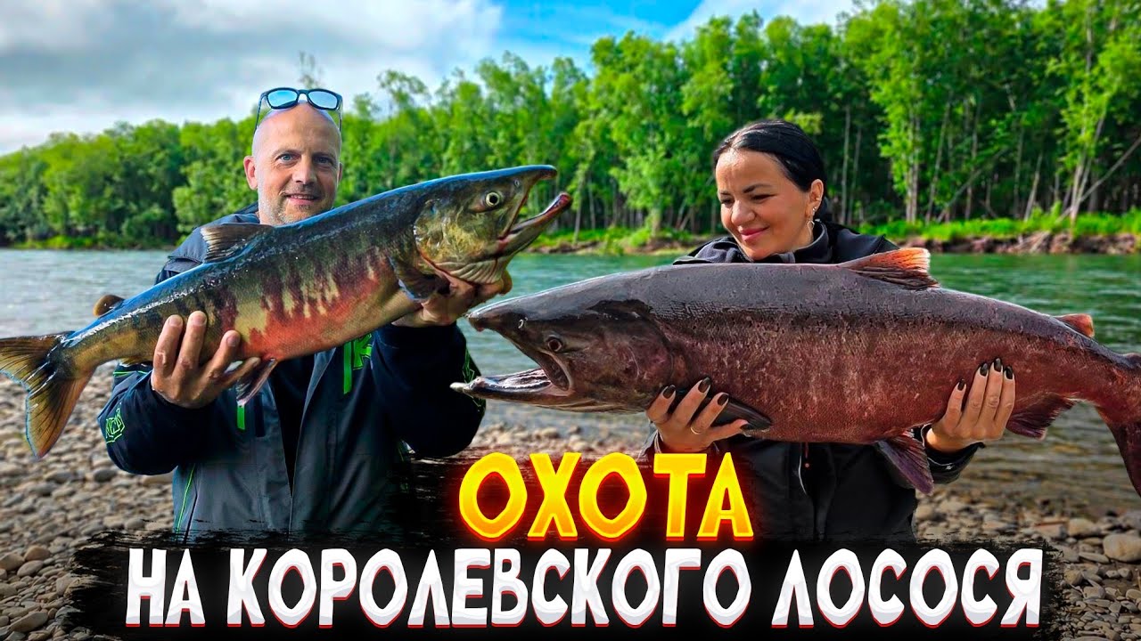 Камчатка снова покорила. Нехоженные места, добрые медведи и трофейные рыбы.