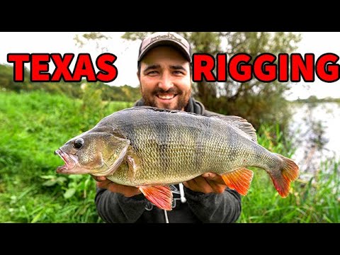 How To fish a Texas Rig -Big River Lure Fishing UK- molix Stickflex!