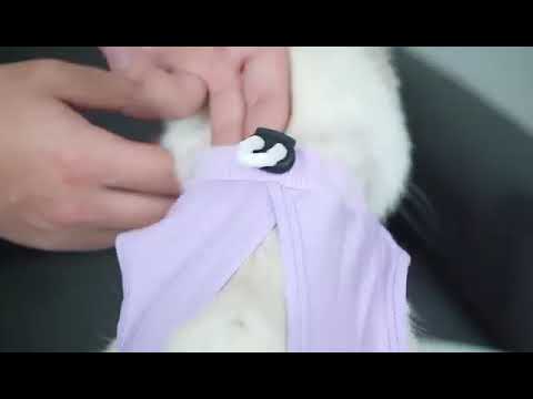 Cat Surgery Wear Pet Wounds Pet Recovery Clothes For Cats After Sterilization Pajama Suit