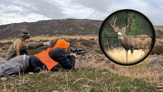Mule Buck Hunt in The Mountains of Colorado | How to Cure Deer Meat! (Public Land)