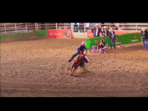 Matteo Cavaliere - Pole Bending - Finale Nazionale W.S.G.A 2017