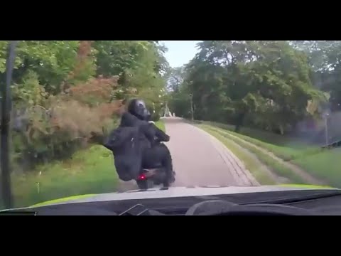 Crazy Police Chase in Oslo, Norway - Dashcam