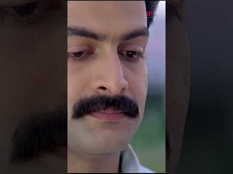 Watch 👆 Indian Rupee Super Scenes! #indianrupee #prithviraj #rimakallingal #jagathy #shorts