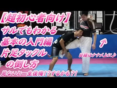 【初心者向け】サルでもわかるタックルの倒し方！この動画で完璧！テイクダウン シングルレッグ  #タックル #片足タックル #テイクダウン  #MMA
