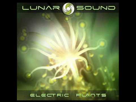 Lunar Sound - Lattice