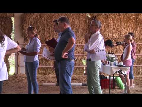 Impressionen Fohlenschau St. Vitus 30.Juli 2017