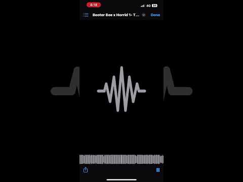 Booter bee x horrid1