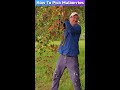 How To Pick Mulberries #Shorts