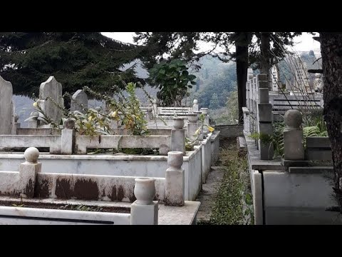 UŞŞAK KASİDE Gülme gülme ağla gönül - Mustafa Alphayta