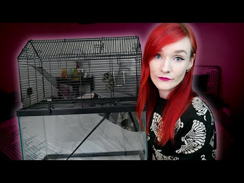 Bad Cage Review | You & Me Small Animal High Rise Tank Topper Review | Munchie's Place