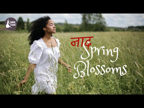 Naad | Spring Blossoms | Indian Classical Sitar Fusion Music