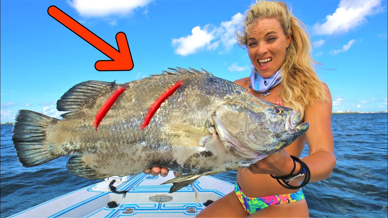 SCARRED FISH! HIT BY A BOAT Florida Inshore Fishing Tripletail, Snook & Sheepshead