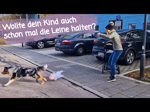 Die little Captain Zauberleine - das sind die Vorteile der ersten kindersicheren Hundeleine!