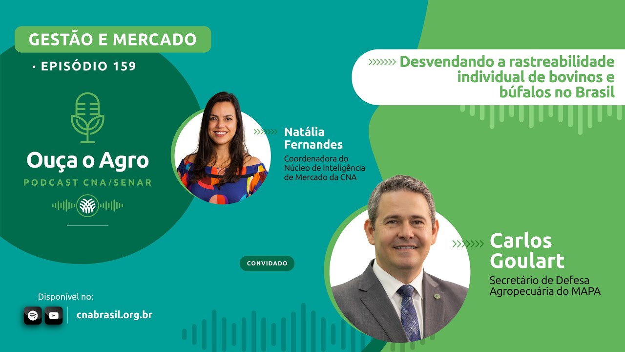 OUÇA O AGRO 159 - Desvendando a rastreabilidade individual de bovinos e búfalos no Brasil