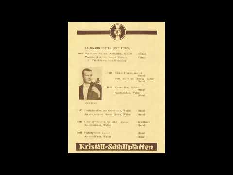 Willy Metschke (as Jeno Fesca) and his Salon Orchestra - Rose Mousse (Bose) (1927)