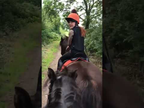 😂😂 different ways horses spook 😂