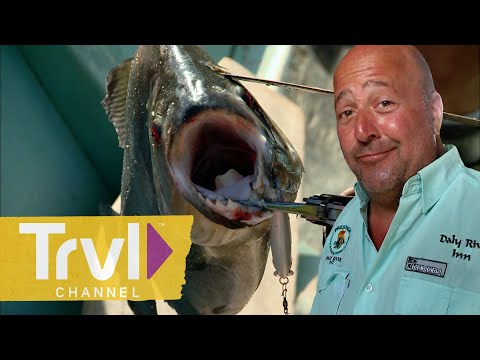 Hooking Piranhas Along the Suriname River | Bizarre Foods with Andrew Zimmern | Travel Channel