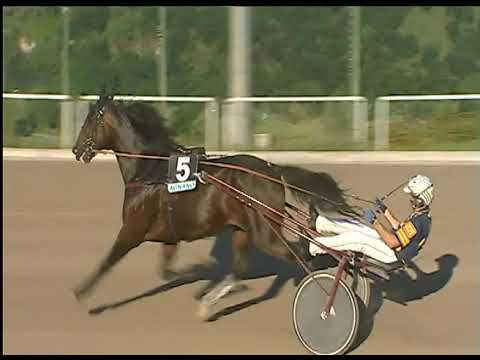 Trotto 18/06/2020 - 4ª corsa