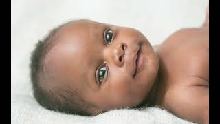 Newswise:Video Embedded babies-attend-to-clues-of-meaning-as-they-take-in-complex-visual-world