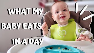 WHAT MY 8 MONTHS OLD EATS IN A DAY  | Homemade Baby Finger Foods| Healthy Baby Snack & Meal Ideas