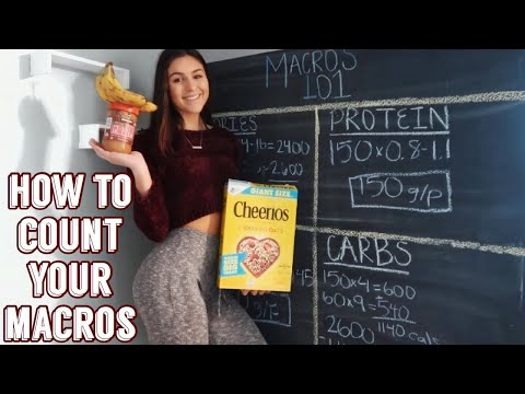 download lagu mp3 mp4 Macros 101, download lagu Macros 101 gratis, unduh video klip Macros 101