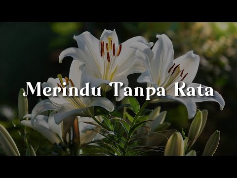 Merindu Tanpa Kata,  Tiada Lagi Kidungmu,  Gugurnya Bunga Cinta  (Lirik)  - Kapilla