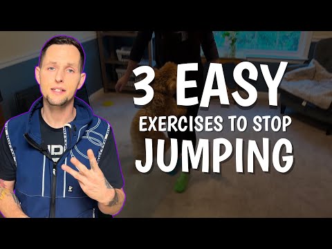 3 EASY Dog Training Exercises That Stop Your Puppy Jumping FOR GOOD!