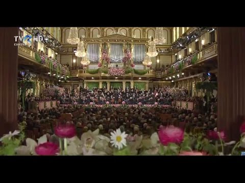 Vienna Philharmonic Orchestra - Dunărea Albastră (Johann Strauss-fiul)