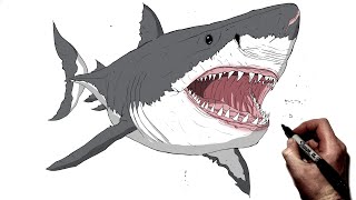 How To Draw Megalodon / Great White | Step By Step