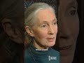 Remembering Jane Goodall
