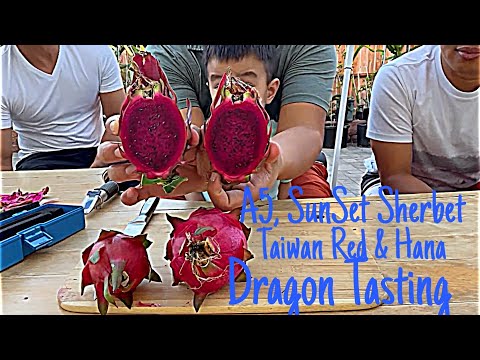 A5, Sunset Sherbet, Hana, and Red Taiwan Fruit Tasting