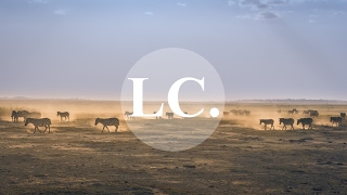 Auntie Flo - Waiting for A (Woman) feat. Anbuley (Revenge Rework Dixon Beat Edit)