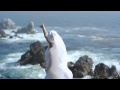 Snatam Kaur - Earth's Prayer - The Official Music ...