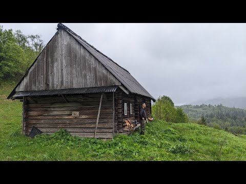 The 100-year-old primitive forest home of my ancestors is Far from Civilization.