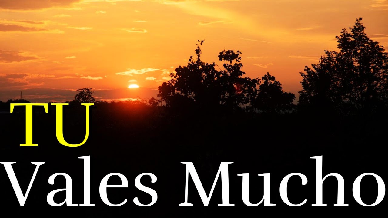 Vales Mas De Lo Que Te Imaginas ¦ Tu Vales Mucho ¦ Reflexión, Consejos, Amor Propio, Autoestima